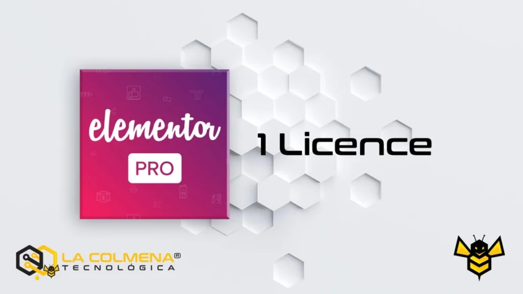 Obtenez 1-licence-pro-elementor Licence: Official / Original / NOT GPL