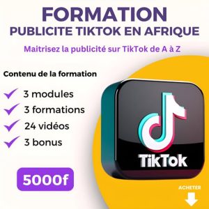 Maîtriser la publicité TikTok de A à Z