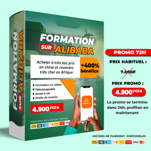 Formation sur ALIBABA - Achat en chine et revente en Afrique
